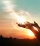 Woman hands praying for blessing from god on sunset background