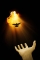 hand releasing bird in the air on light beam